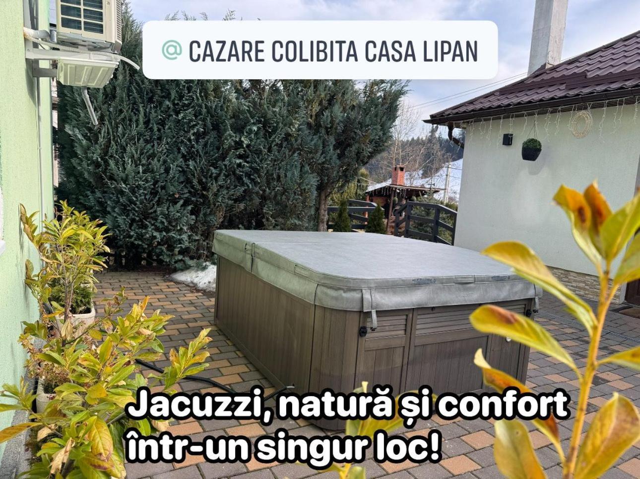 Cazare Colibita Casa Lipan Eksteriør billede